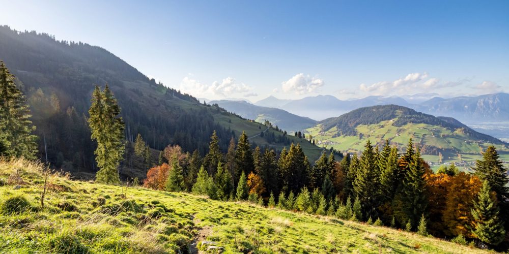 Herbstimpressionen_TVB_Wildschoenau_Dabernig_10_2022_67